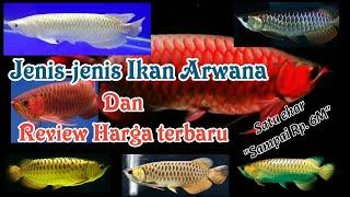 Jenis-jenis Ikan Arwana tercantik dan harganya