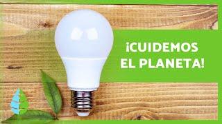 10 ACCIONES para CUIDAR el MEDIO AMBIENTE 