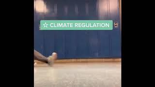 climate regulation