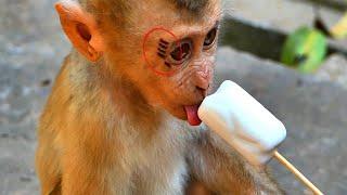 What Happened Adorable tiny baby Leo tried drink Ice Cream alone Mama Libby not care Not share Milk