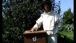 Пчеловодство уникальный метод   3 5 фляг меда с улья