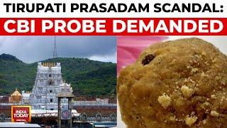 Tirupati Prasadam Controversy Nationwide Outrage Political Showdown CBI Probe Demanded