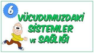 6.Sınıf Fen Bilimleri  Vücudumuzdaki Sistemler ve Sağlığı