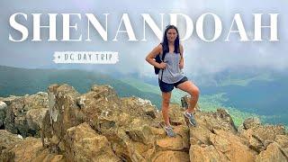 SHENANDOAH NATIONAL PARK  + quick drive to Washington DC  USA road trip & travel vlog