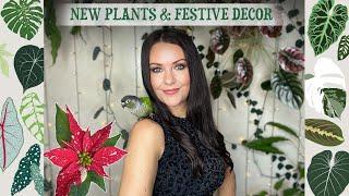 New Plants & Festive Decor Tour 