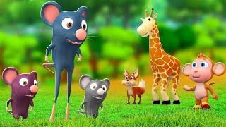 लम्बे पैरों वाला चूहा - Long Legged Mouse Story  Hindi Kahaniyan Moral Stories  JOJO TV Kids Hindi