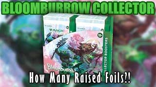 Bloomburrow Collector Box Opening