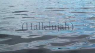 Damien Rice - Cold Water with lyrics