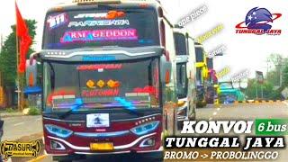  KONVOI 6 BUS ARTIS TUNGGAL JAYA  FULL TELOLET BASURI - REMIX - V4