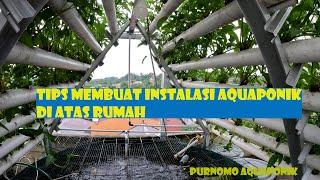 Safe Tips for Creating an Aquaponics Installation on the Roof of Your House