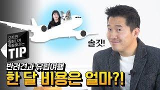 강아지와 한 달 유럽여행 비용은 얼마? ｜강형욱 X 페퍼TV