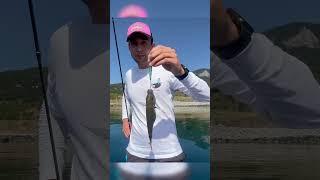 Рыбалка на сап доске #rockfishing #fishing #fish