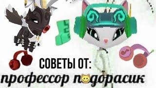 КАК РАЗВИВАТЬСЯ В ДЖЕМЕ?? СОВЕТЫ ОТ ПРОФЕССОРОВ ANIMAL JAM AJ