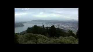 View of Dunedin New Zealand from Signal Hill Lookout on cloudy  day