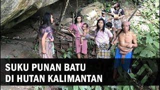 Begini Tradisi Hidup Suku Punan di Pedalaman Hutan - Penjaga Hutan Kalimantan