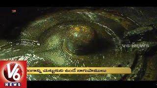 Hyderabad Shaan  History of Kishan Bhag Kashibugga Temple  V6 News