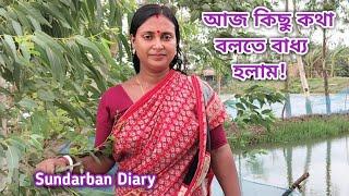 আজ কিছু কথা বলতে বাধ্য হলাম  Sundarban Diary