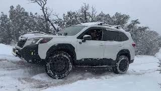 Two Forester Wilderness Offroad in the Snow