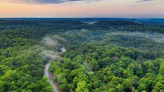 Amazon rainforest  Ecosystems