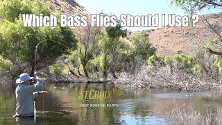 What bass flies should I use? A closer look