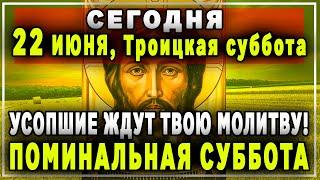 ЛЮБОЙ ЦЕНОЙ В ТРОИЦКУЮ РОДИТЕЛЬСКУЮ ЗАУПОКОЙНУЮ СУББОТУ ВКЛЮЧИ ЭТО БОГОСЛУЖЕНИЕ ОНЛАЙН.ЛИТУРГИЯ 2024