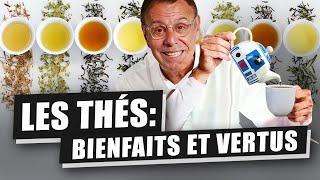 THÉ VERT THÉ NOIR THÉ BLANC MATÉ... VOUS ALLEZ TOUT SAVOIR SUR LE THÉ