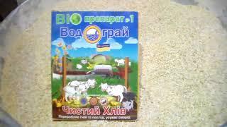 Водограй в корм животнымсвиньям или как избавиться от запаха навоза на бетонном полу.