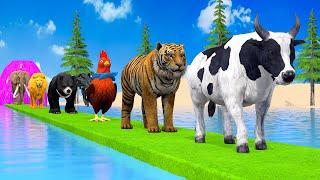 Paint & Animals DuckGorillaLionElephantCowSheep Fountain Crossing Transformation Animal Cartoon