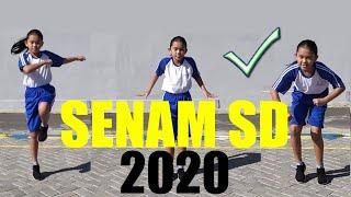Senam Anak SD Kelas 1-6  Senam SD 2020  Dunia Nadia Senam Ritmik
