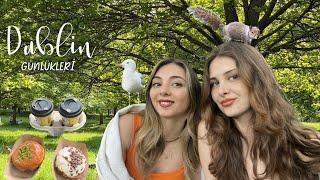 Dublin Günlükleri 2  Dublindeki yeni arkadaşım Donut yiyen martılar 