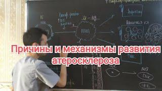 Атеросклероза. Причины и механизмы развития. Нарушение холестеринового обмена.