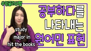 기초영어회화 원어민들은 공부하다 어떻게 말할까??  study major in hit the books  #공부하다영어표현 #쑤잉글리쉬랩