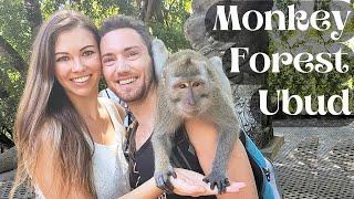 Monkey Forest Ubud Sanctuary  Bali Indonesia