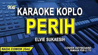 Perih Karaoke  Nada Rendah  versi Koplo Nada Pria Elvie Sukaesih