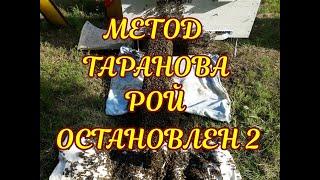 РОЕНИЕ ОСТАНОВЛЕНО №2. МЕТОД ТАРАНОВА И МОЯ ИМПРОВИЗАЦИЯ. ПРОДОЛЖЕНИЕ.№2