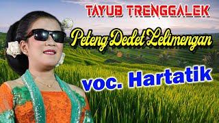 Peteng Dedet Lelimengan Voc. Hartatik Sinden Viral Trenggalek - Tayub Tri Tunggal Salamwates Dongko