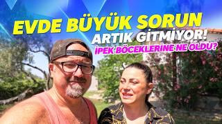 KÖY EVİMİZDE BÜYÜK SORUN - İpek Böcekleri Ne Oldu? VLOG Egeye Göç Köy Hayatı