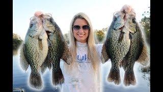 Fishing for Crappie with LIVE MINNOWS