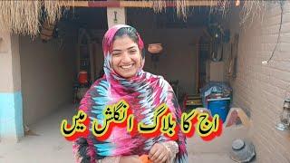 Aj Ka Vlog English Mai  Life in mud house  Punjabi Pendu Vloger