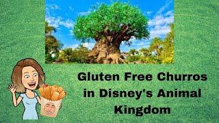 Eating Gluten free at Disneys Animal Kingdom
