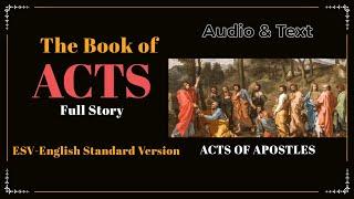 The Book of Acts ESV  Full Audio Bible with Text by Max McLean