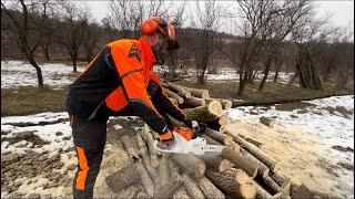 Cutting firewood with Stihl Msa 220-C battery powered machine.