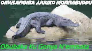 Obubaka Ku Gonya Nemisota - Omulangira Jjuuko Munnabuddu