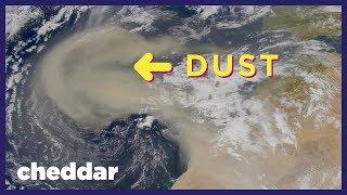How Dust Allows for Life on Earth - Cheddar Explores