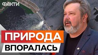 Утворилися унікальні ЗАПЛАВНІ ЛІСИ Каховське ВОДОСХОВИЩЕ ЗАРАЗ