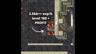 TIBIA GRIMS BEST KNIGHT EXP 3.5KKH LVL 180+ PROFIT ENG