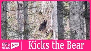 Tourist kicks bear in face to chase it away in northern Japan mountains