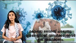 കോംഗോ വൈറസ് പടരുന്നു  മൃഗങ്ങളുമായി സമ്പർക്കമുള്ളവർ ഇത് ശ്രദ്ധിക്കണം... congo virus