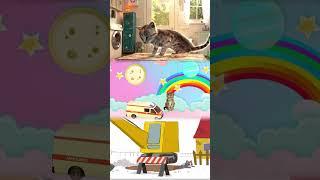 NEW LITTLE KITTEN ADVENTURE - SUPER NEW KITTY STORY AND FUNNY CARTOON VIDEO