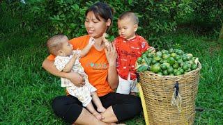The single mother had no support and raised two children on her own Harvest lemons go market sell